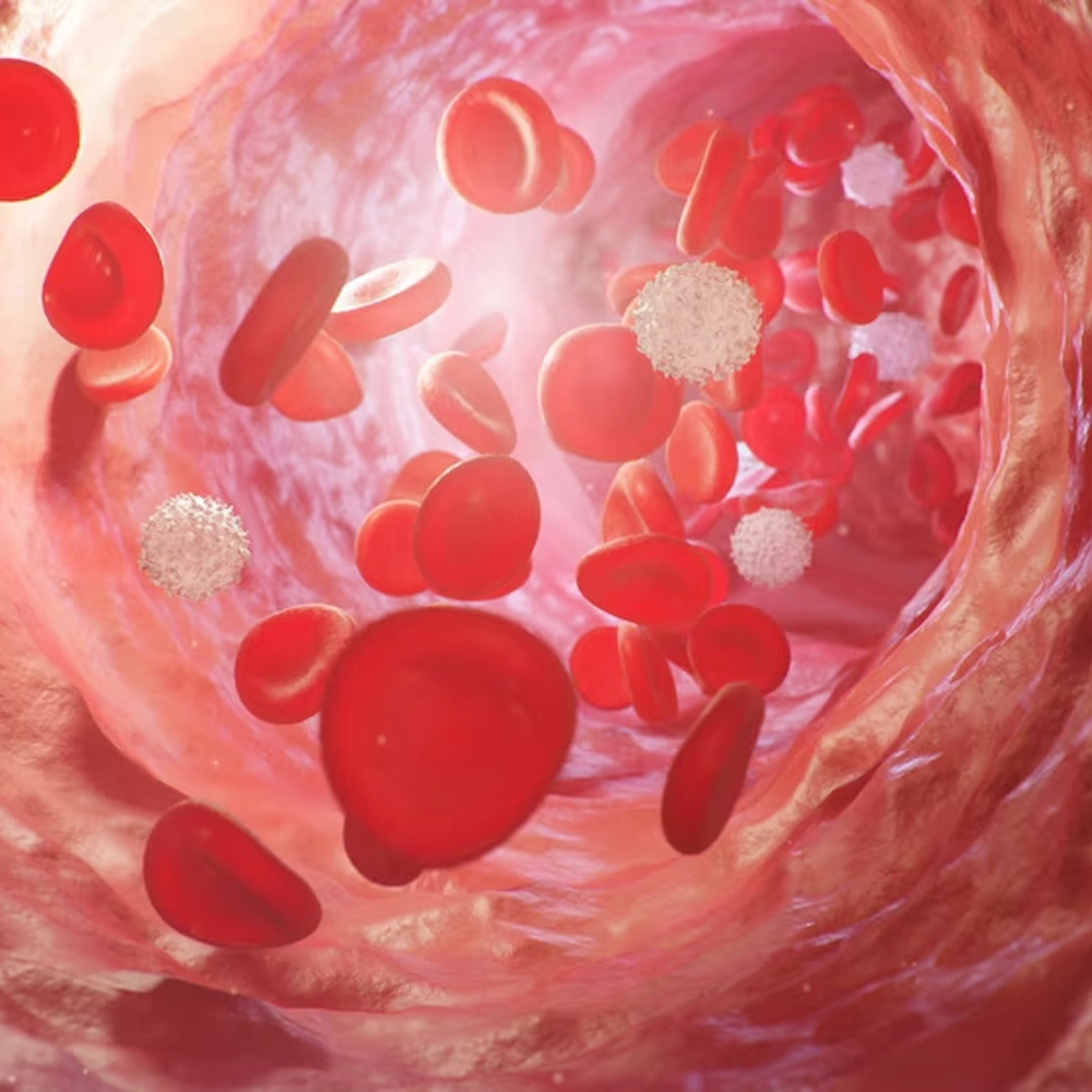 BloodPril natural blood pressure supplement