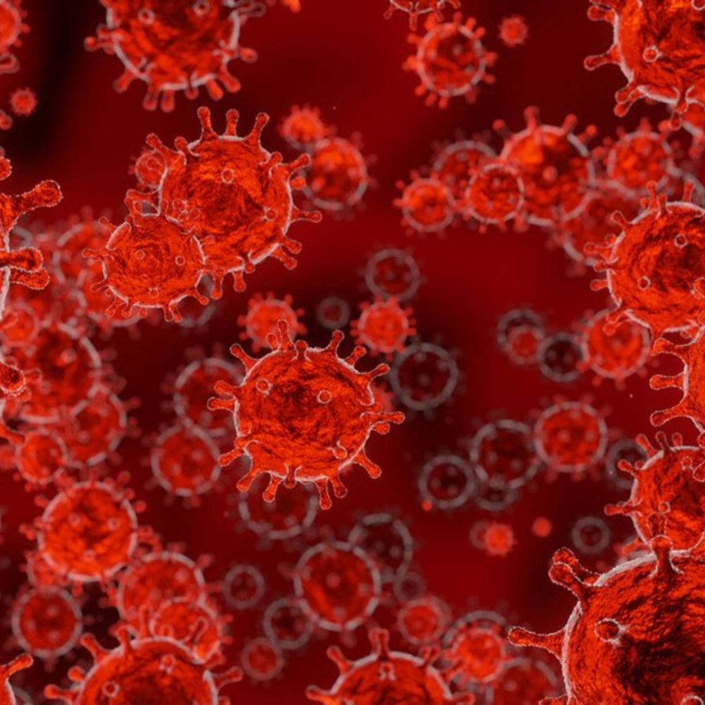 BloodPril natural blood pressure supplement